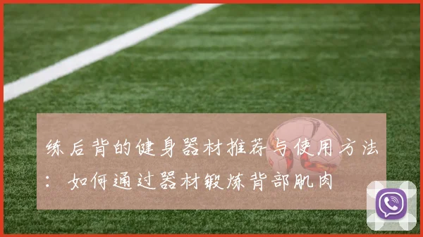 练后背的健身器材推荐与使用方法：如何通过器材锻炼背部肌肉