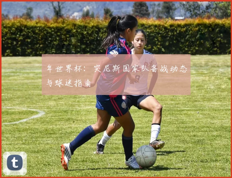 年世界杯：突尼斯国家队备战动态与球迷指南