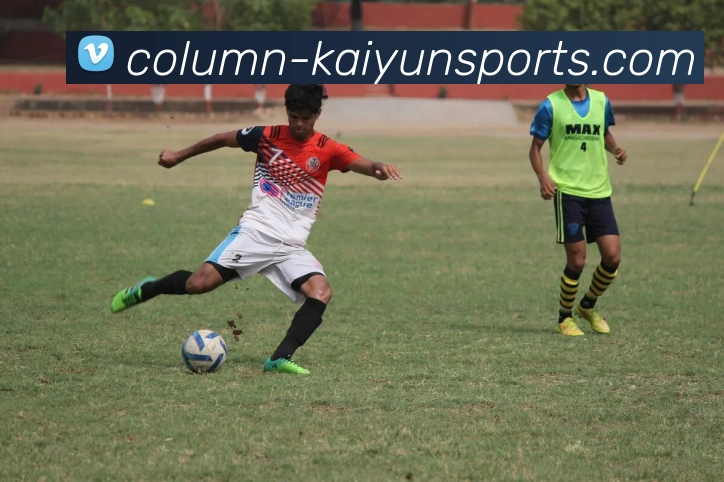 kaiyun平台生态图